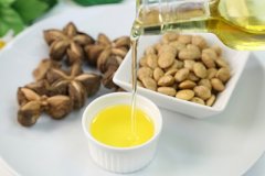  全球減少煤石油依賴大勢所趨生物燃料生產(chǎn)獲支